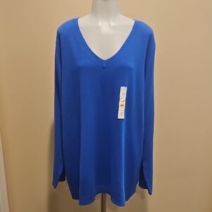 🍉Bright Blue V-Neck Sweater